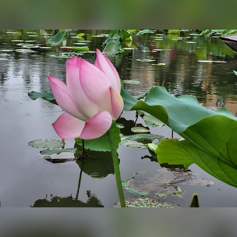 揭示:澳门一码一码100准确 官方,留心虚假渲染,全链释义、解释与落实 揭示:澳门一码一码100准确 官方,留心虚假渲染,全链释义、解释与落实